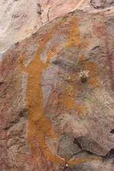 Gelber Goanna und drei kleine Honigfresser